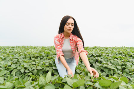 Young woman farmer checking the growth of soybean plants in a large cultivated field, ensuring a healthy and productive harvestの写真素材