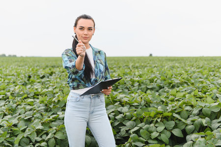 Agricultural engineer holding clipboard and pointing with pen while inspecting soybean crop growth...