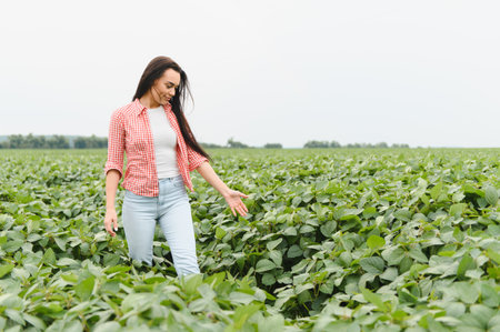 Young woman farmer walking through cultivated soybean field, gently touching plants and checking growthの写真素材