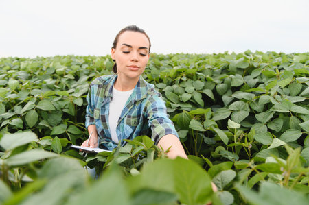 Female agronomist taking notes on clipboard while inspecting soybean plants in a cultivated field,...