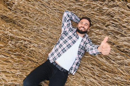 Young farmer relaxing in a golden wheat field, giving a thumbs up gesture, enjoying a successful harvest seasonの写真素材