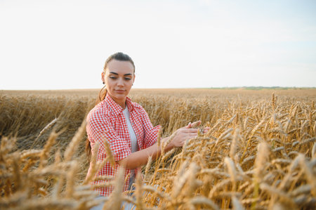 Female farmer gently touching ripe wheat ears in golden field at sunset, enjoying agricultural...