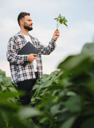 Agronomist examining a soy plant while taking notes on a clipboard, standing in a cultivated field under a bright summer skyの写真素材