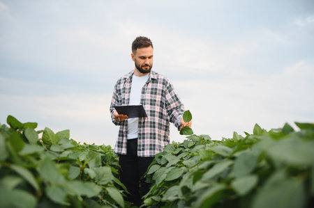 Agronomist inspecting growing soybean plants and taking notes on a clipboard, performing quality...