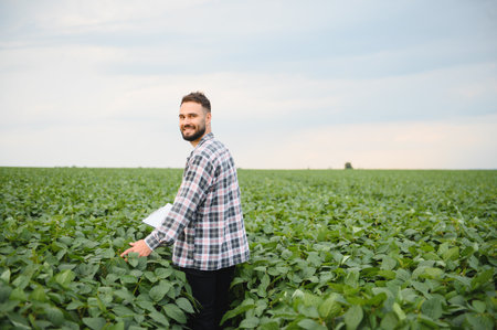 Agronomist holding a clipboard walks through a vast soybean field, carefully examining crop health...