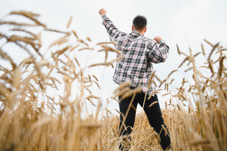 Farmer with raised arms celebrating a successful harvest in a golden wheat field, expressing joy and...
