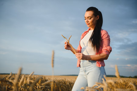 Young female farmer examining ripe wheat ears in a golden field at sunset, enjoying agricultural successの写真素材