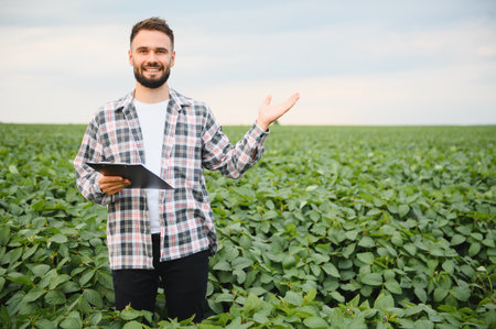 Agronomist analyzing growth of soy plants, holding clipboard and gesturing to crops in cultivated fieldの写真素材