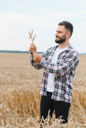 Young farmer holding stalks of wheat and smiling in a golden field, enjoying a successful harvest seasonの写真素材