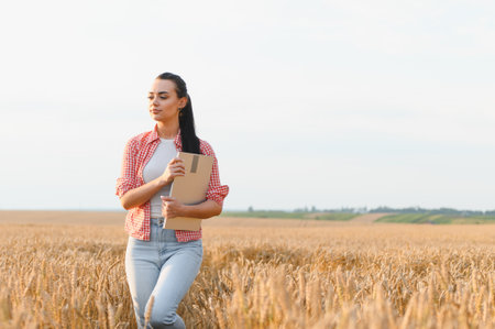 Farmer walking through a golden wheat field, holding a clipboard and inspecting crops for quality...