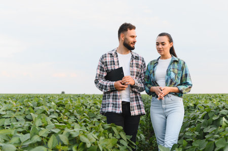 Two farmers are discussing and evaluating the growth of their soybean crop in a cultivated fieldの写真素材