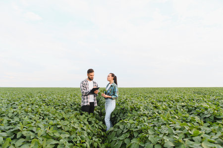 Two agronomists analyzing growth of soybean plants in field, taking notes on clipboard and performing quality control of sustainable agricultureの写真素材