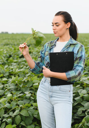 Female agricultural engineer holding clipboard and examining soybean plant in cultivated field,...