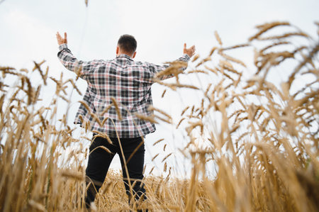 Farmer standing in a golden wheat field with arms raised, celebrating a successful harvest under a cloudy skyの写真素材