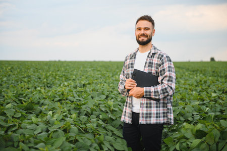Agronomist examining the growth of plants in a soybean field, holding a clipboard for data collection and analysisの写真素材