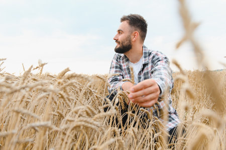 Young farmer sitting in a golden wheat field, gently holding and inspecting ripe wheat stalks, enjoying the fruits of laborの写真素材