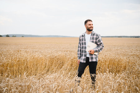 Young farmer carries laptop while walking through golden wheat field, enjoying successful harvest...