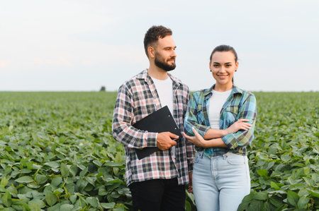 Two agronomists analyzing the growth of soybean plants in a large field, demonstrating sustainable agriculture practicesの写真素材