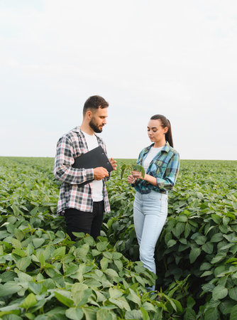 Two farmers are discussing the growth of their soybean crop, holding a clipboard and a plant in a...