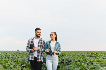 Two agronomists walking and discussing in a soybean field, inspecting the crop and planning their agricultural strategyの写真素材