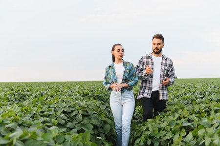Two farmers walking through a lush soybean field, discussing insights and analyzing the growth and health of the crop togetherの写真素材