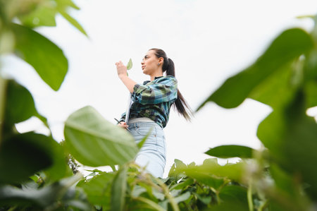Agricultural researcher is examining a soybean leaf in a cultivated field, holding a clipboard and pen, contributing to agricultural science and crop improvementの写真素材
