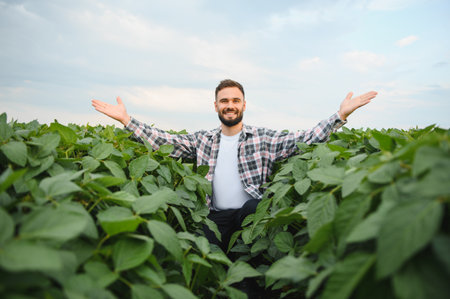 Agronomist sitting in a lush soy field, extending arms with pride while showcasing healthy crops under a bright, cheerful skyの写真素材