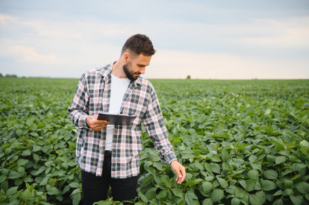 Agronomist holding clipboard inspecting cultivated soybean plants, ensuring healthy growth and...