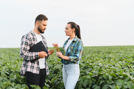 Two agricultural professionals analyzing a soybean plant, discussing its growth and health in a vast...