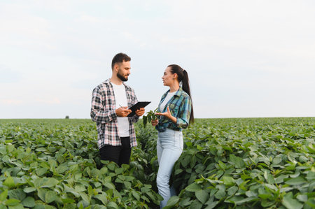 Two farmers are discussing the state of their soybean crop, holding a clipboard and examining a plantの写真素材