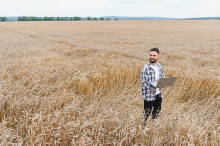 Farmer working with laptop in wheat field, using modern technology for precision agriculture and...