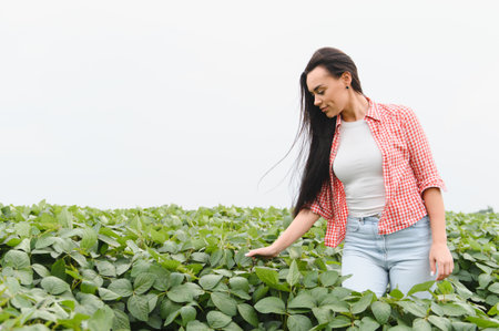Young woman farmer examining soybean leaves and checking crops in a lush, cultivated field, ensuring...