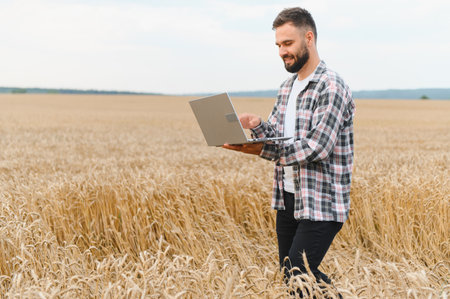 Young bearded farmer working on laptop in wheat field, implementing modern technology for efficient agriculture and harvest controlの写真素材