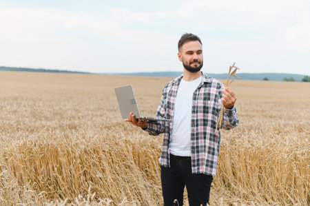 Farmer holding laptop and inspecting wheat stalks in golden field, utilizing technology for agricultural analysisの写真素材