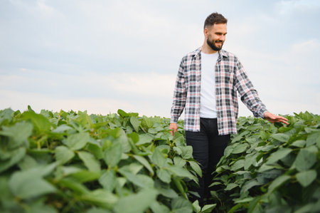 Agronomist examining soybean plants in a cultivated field, ensuring crop health and monitoring...