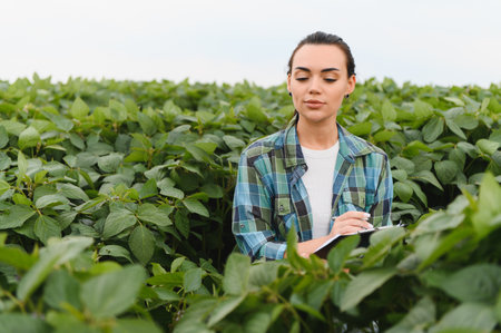 Female agricultural engineer inspecting a lush soybean crop while diligently taking notes on a clipboard in a vibrant rural fieldの写真素材