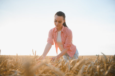 Young woman farmer gently touching ripe wheat ears in a golden field at sunset, checking the quality of the harvestの写真素材