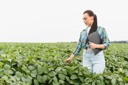 Female agricultural engineer holding clipboard and inspecting soybean crop in cultivated fieldの写真素材