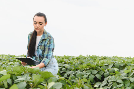 Farmer analyzing soybean plants and taking notes on a clipboard, performing quality control in...