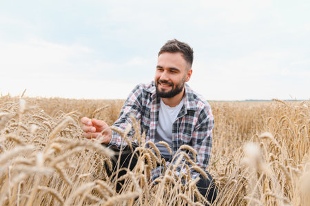 Young farmer smiling while checking the quality of ripe wheat in a golden field, basking in the warm glow of a stunning sunsetの写真素材