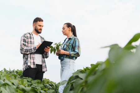Two farmers discussing and taking notes on soybean plant growth while inspecting the lush field...