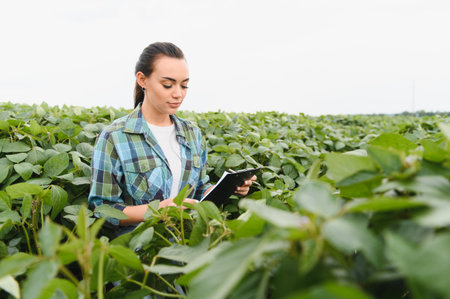 Agricultural engineer taking notes on a clipboard while inspecting a lush soybean field, assessing crop growth and quality in summerの写真素材