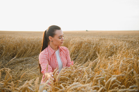 Young farmer woman gently touching ripe wheat ears in a golden field, basking in the warm glow of the sunset skyの写真素材