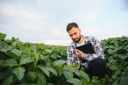 Agronomist taking notes while inspecting the growth of soybean plants in a cultivated agricultural...
