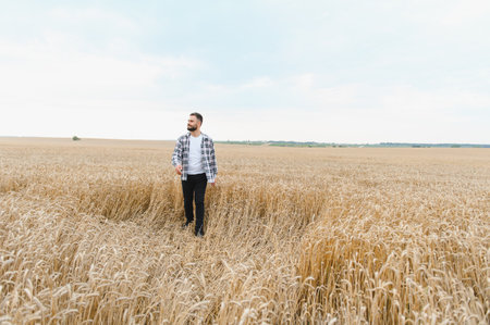 Young farmer walking through a golden wheat field under a bright summer sun, inspecting the ripened...