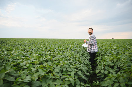 Agronomist holding clipboard inspecting growing soy plants and gesturing thumbs up sign in...