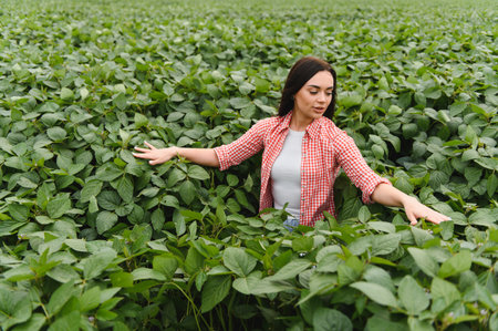 Young woman farmer touching soybean leaves and checking plants in a cultivated agricultural fieldの写真素材