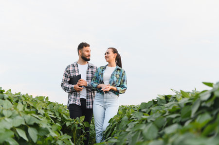 Two farmers are walking and discussing in a soybean field, possibly inspecting the crop's growth and healthの写真素材