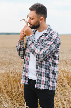 Farmer enjoying the aroma of freshly harvested wheat in a golden field, embodying the essence of agriculture and the satisfaction of a bountiful harvestの写真素材