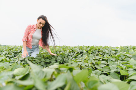 Young woman farmer examining the growth of vibrant soybean plants in a well tended agricultural...